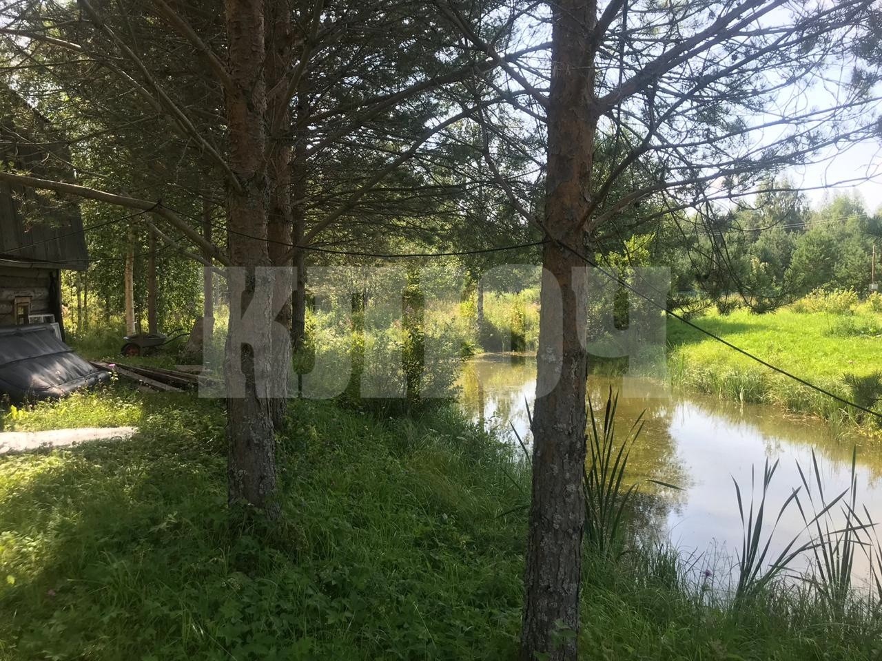 Участок в Вологодская область, Сокольский муниципальный округ, д. ., Купить земе